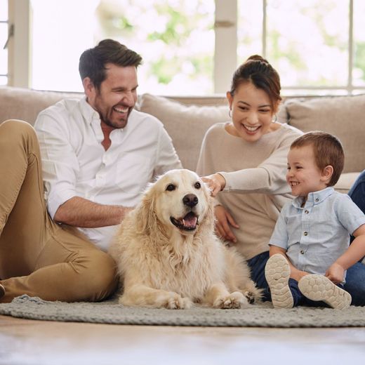 Living Room Image