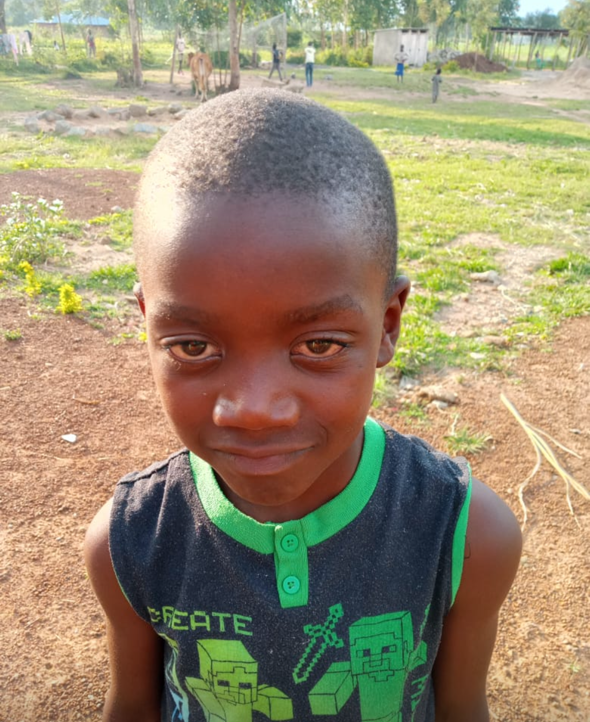 A young Black boy with a slight smile outdoors, wearing a tank top, brown background, and trees.
