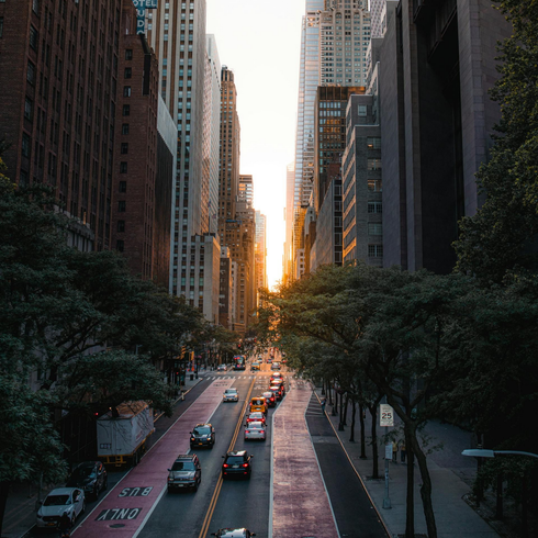 Sunset between tall city skyscrapers over a busy street with cars and trees