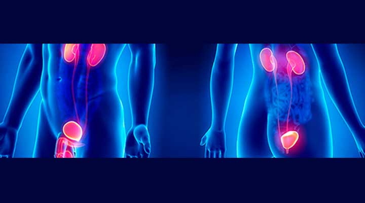 DR. AGUSTÍN DURÁN PEÑA - urólogo