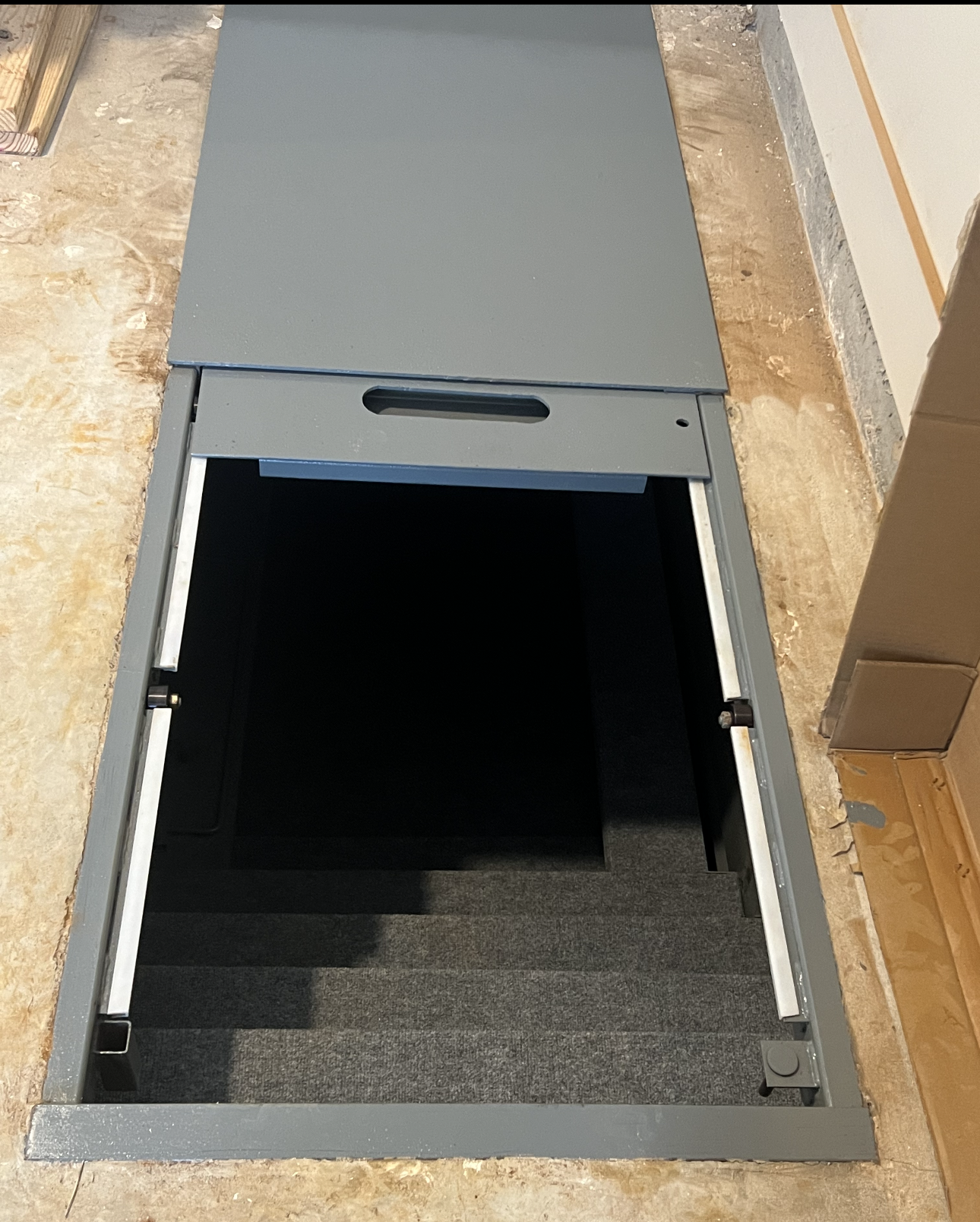 Gray metal basement door open, revealing dark stairwell. Concrete floor, steps lead down.