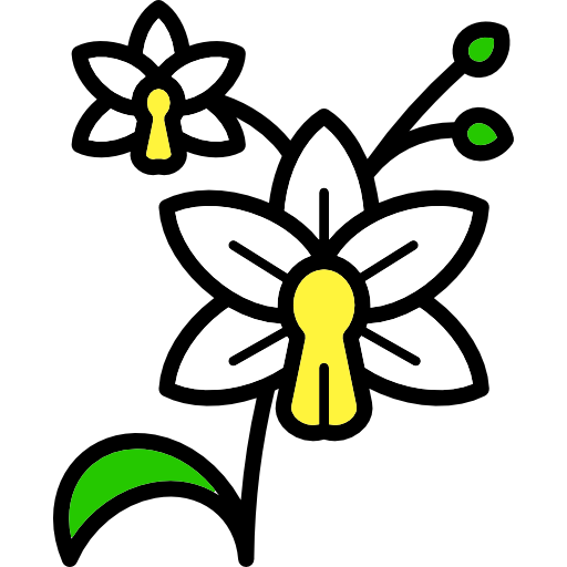 orchid outline icon orchid outline icon