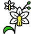 orchid outline icon