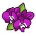 orchid icon orchid icon