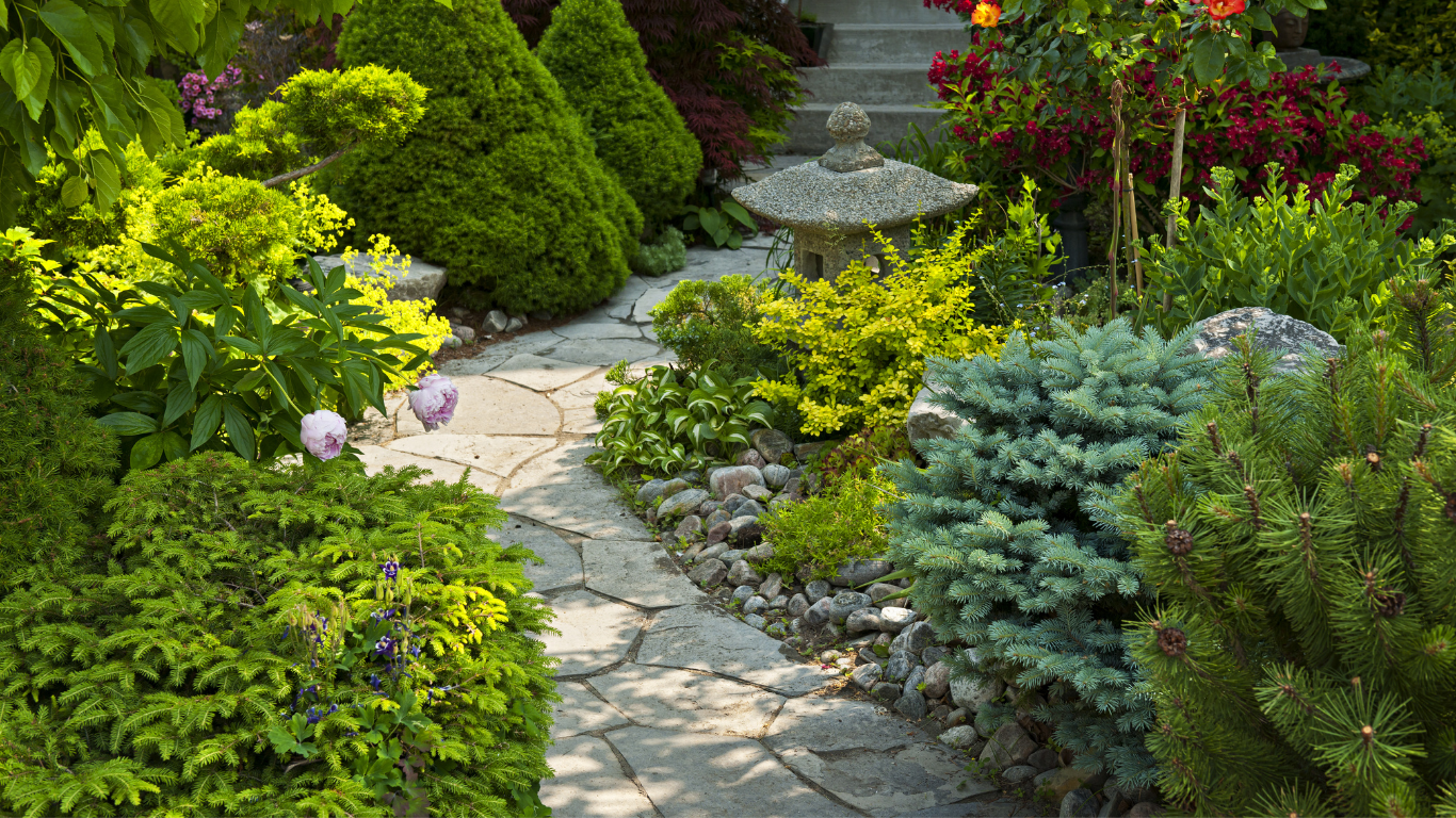 Stone path winds through a lush garden with diverse green shrubs and trees.