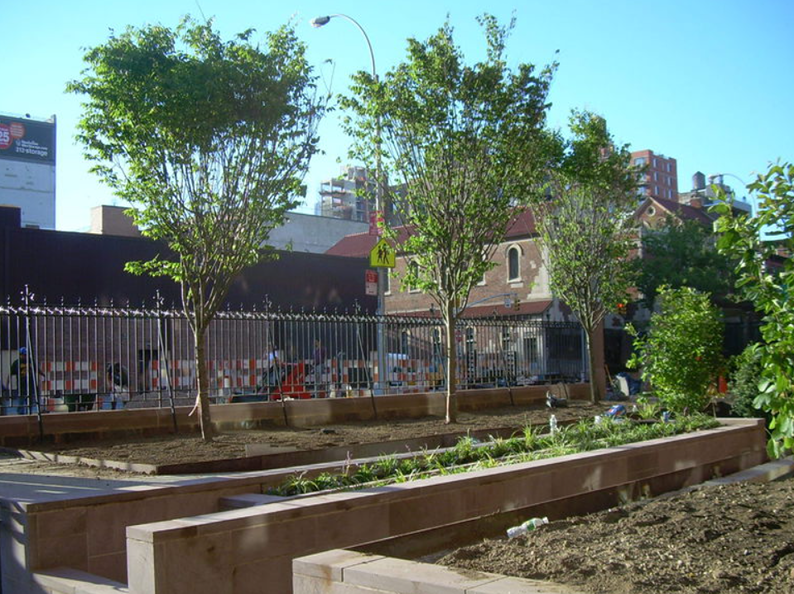 Trees and planters in a city setting, with a metal fence and buildings in the background.