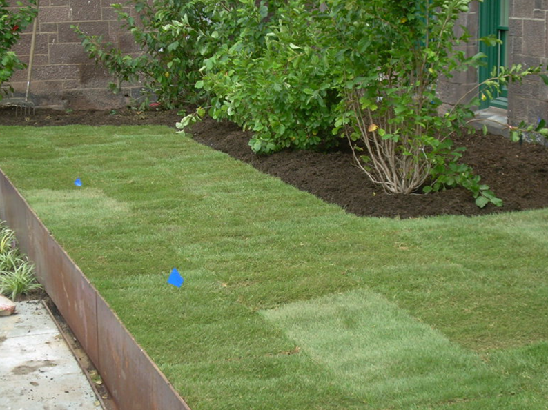 Green lawn with a metal border next to a brick wall, with a shrub.