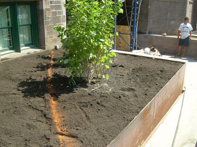 A rectangular planter box with dark soil and a green bush; a person stands nearby.