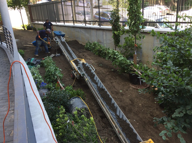 Workers using a conveyor belt to move dirt in a garden area.