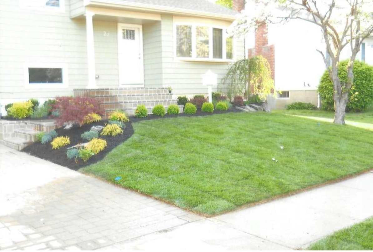 Green lawn and landscaped front yard with house, plants, and sidewalk.
