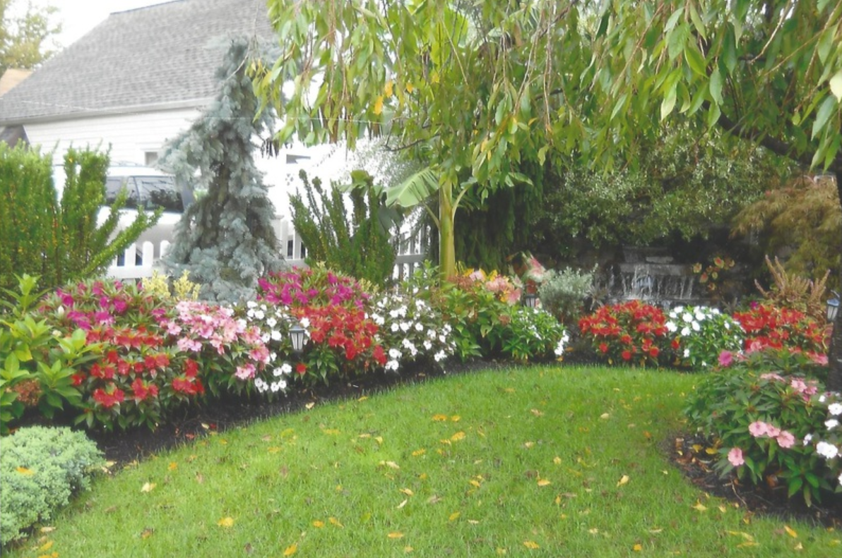 A vibrant garden with colorful flowers bordering a green lawn, set against a house and trees.