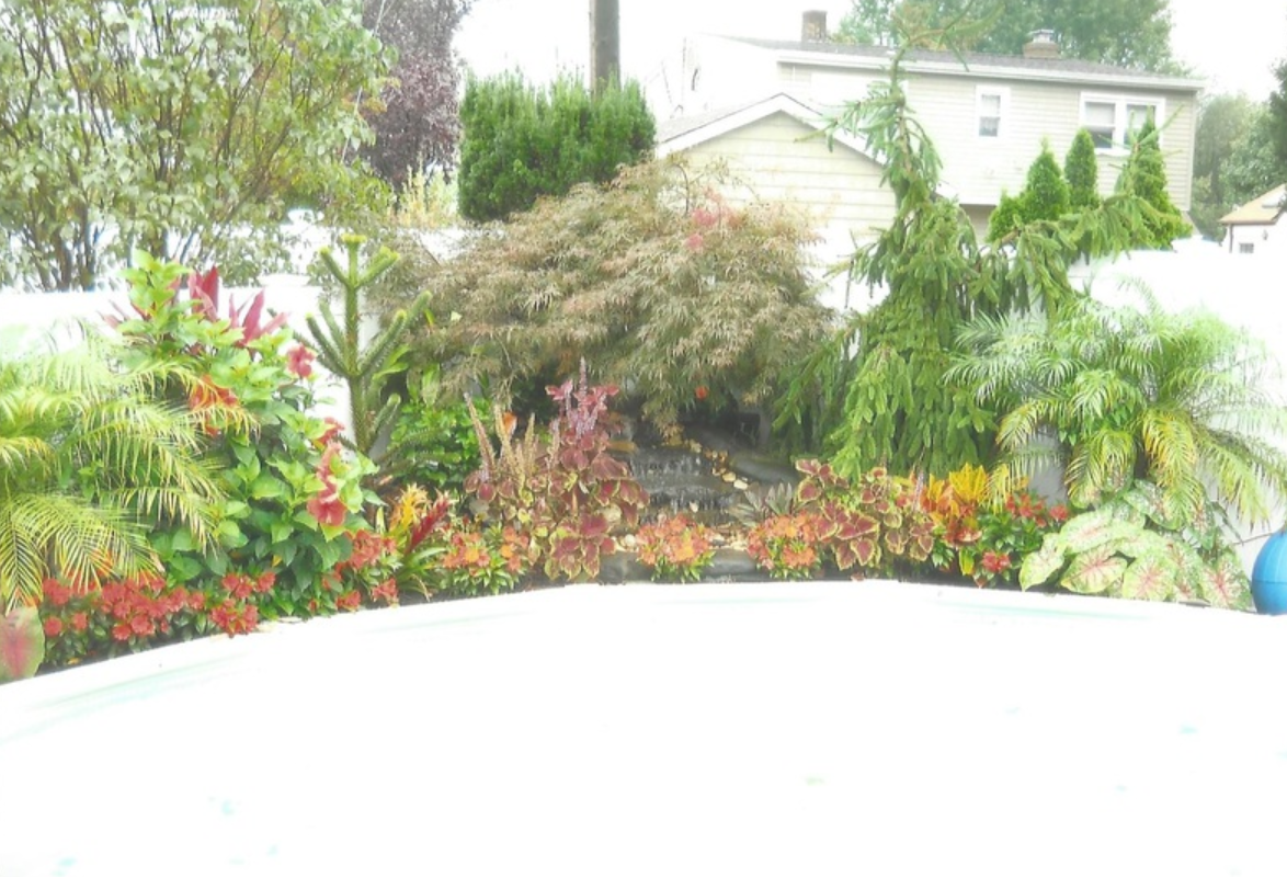 A colorful garden bed with various plants and foliage in front of a white surface.