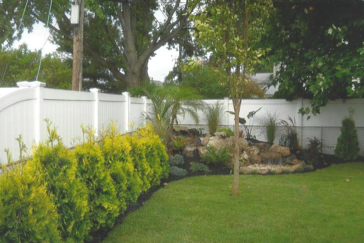 Lush backyard with a white fence, vibrant green lawn, and a bed of shrubs and rocks.