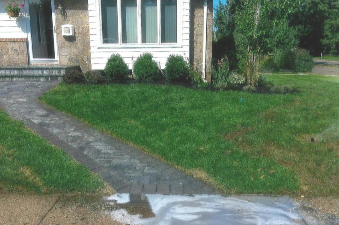 A house with a gray brick driveway and green lawn. Small bushes and a tree are visible in the yard.