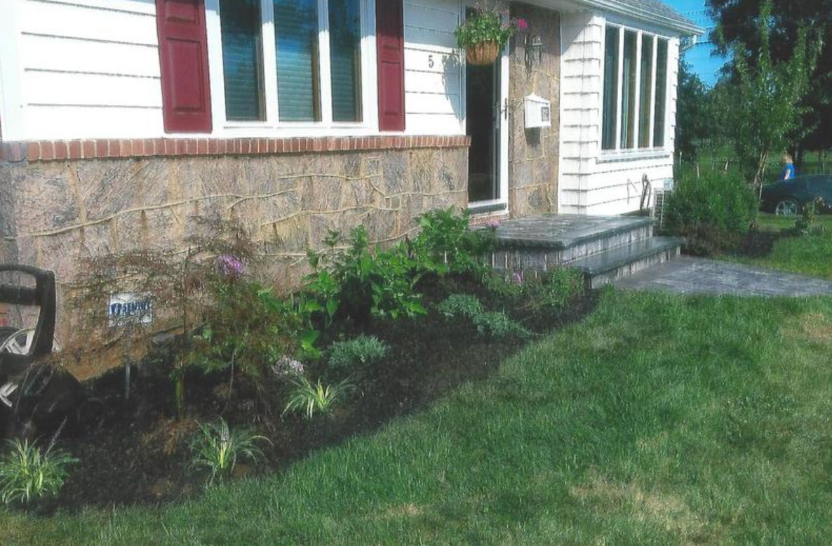 Curb appeal of a house with a stone facade, red shutters, and a manicured garden bed with mulch, and green grass.
