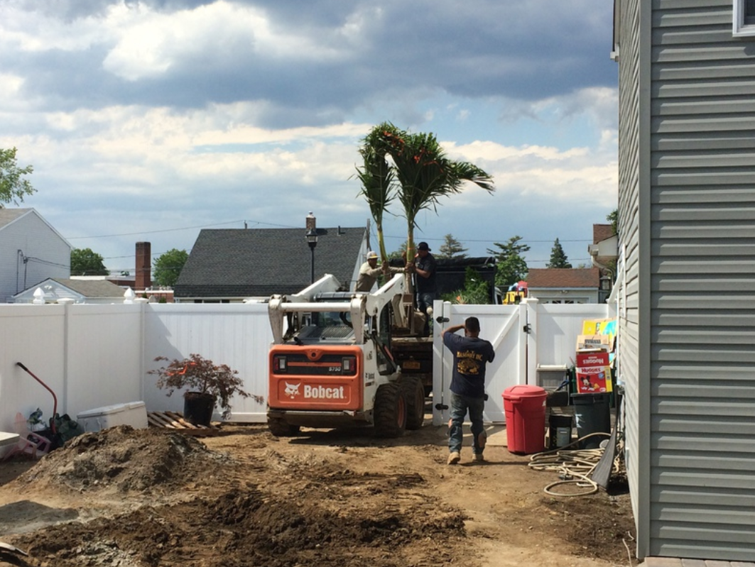 Bobcat loader moving trees, in a backyard with white fence and two workers.
