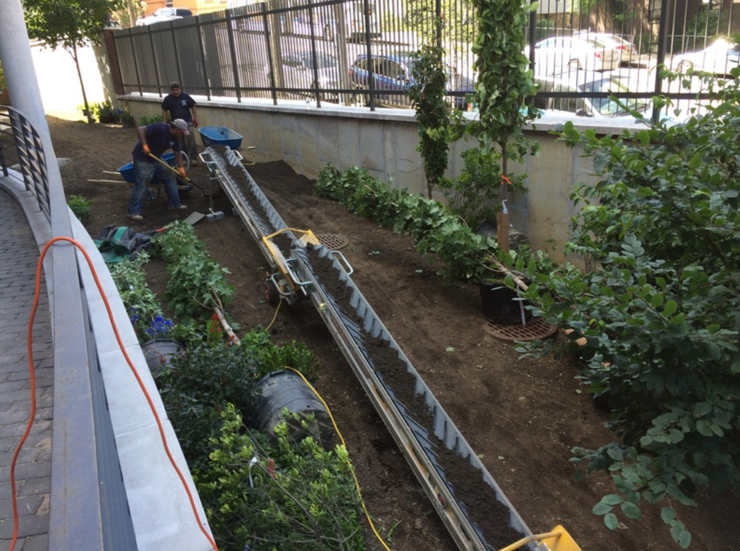Workers use a conveyor belt to move dirt on a sloped garden bed. Green plants and a fence are visible.