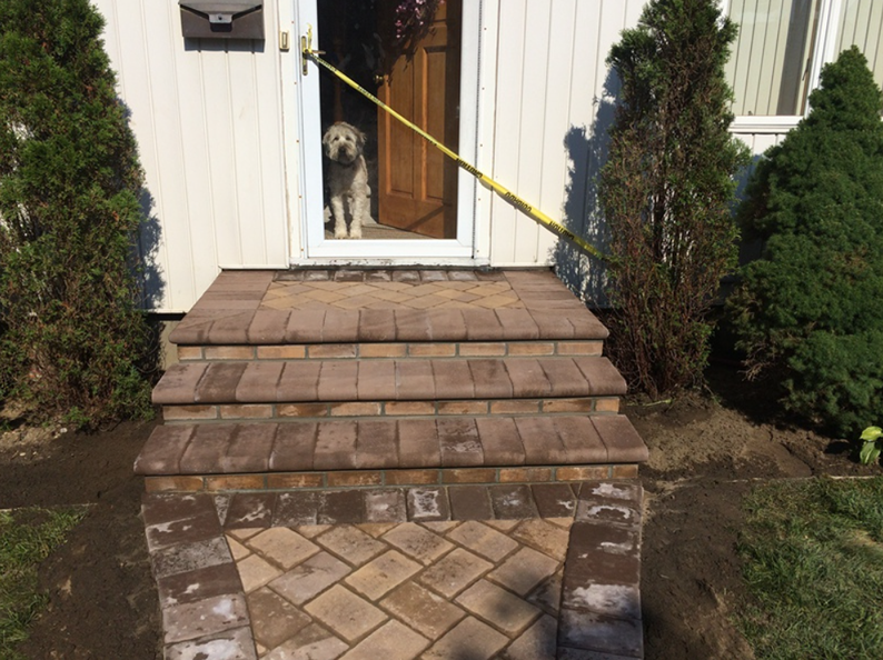 Dog in doorway looks out over new brick steps.