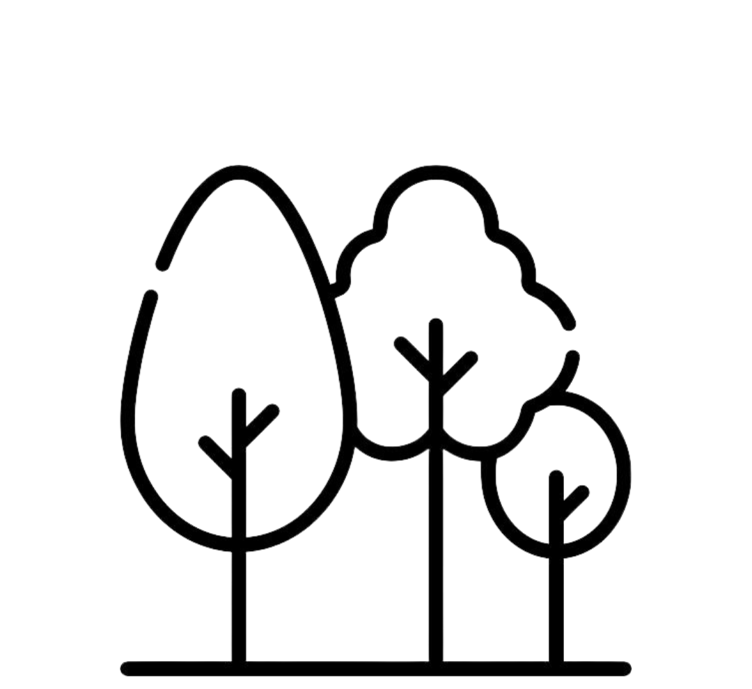 PE