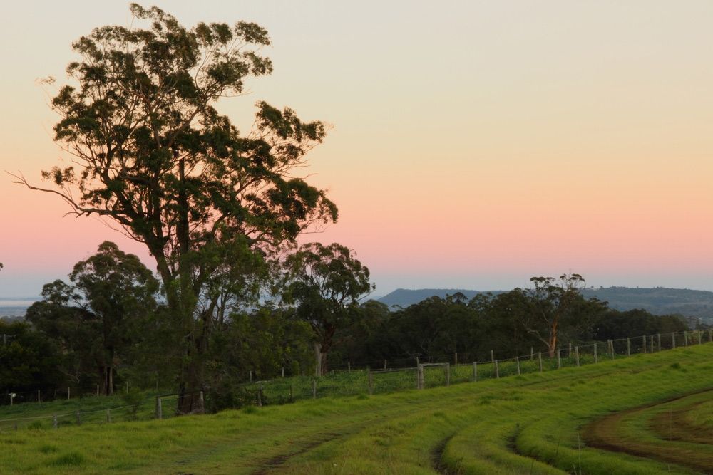 A Tree in The Middle of A Field with A Sunset in The Background — Solar Blessing in Toowoomba, QLD