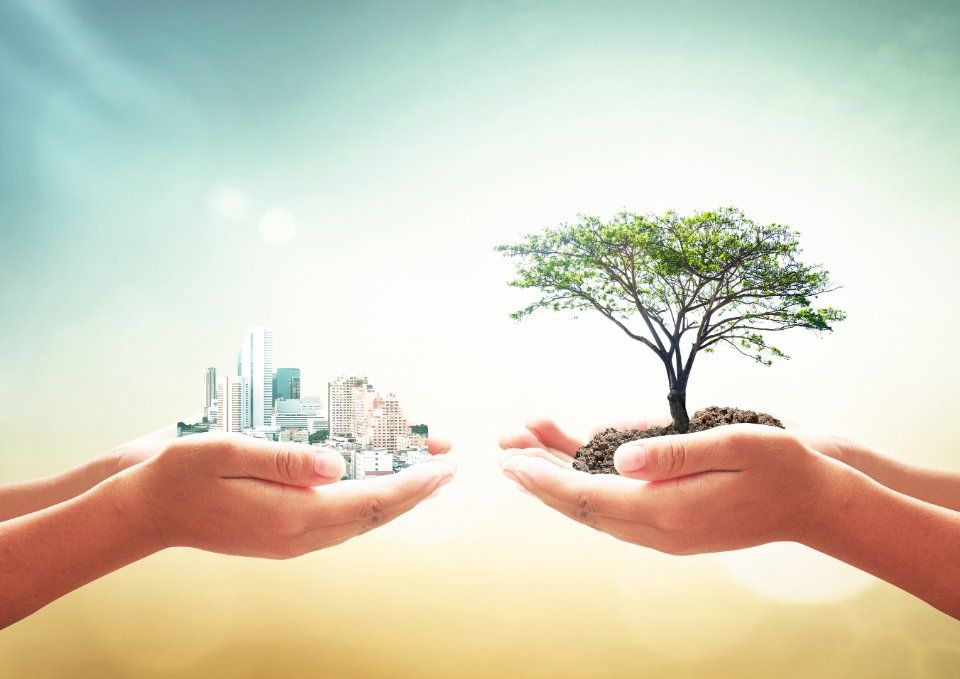 ecosostenibilità