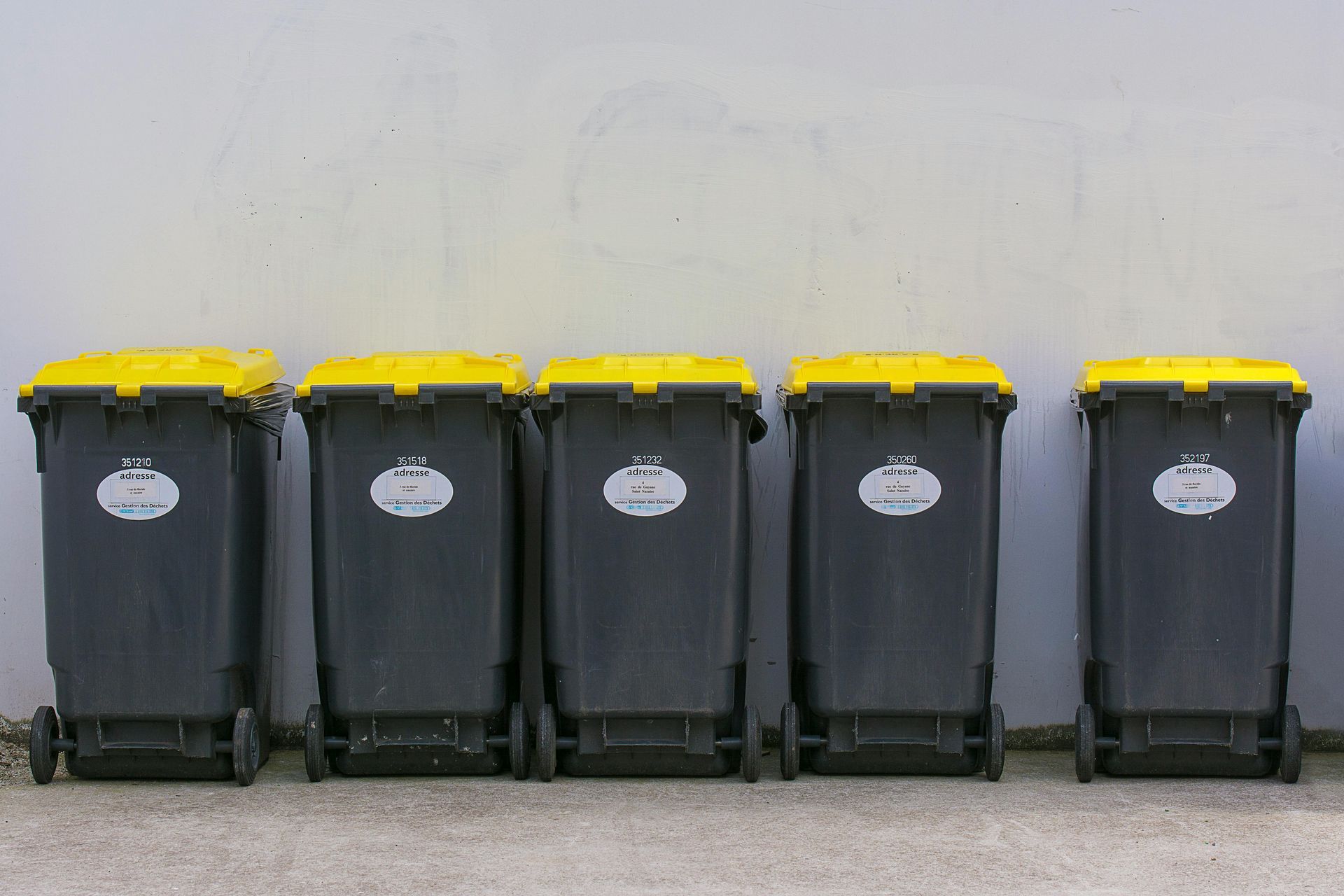 Five black trash bins with yellow lids, lined up against a light grey wall.