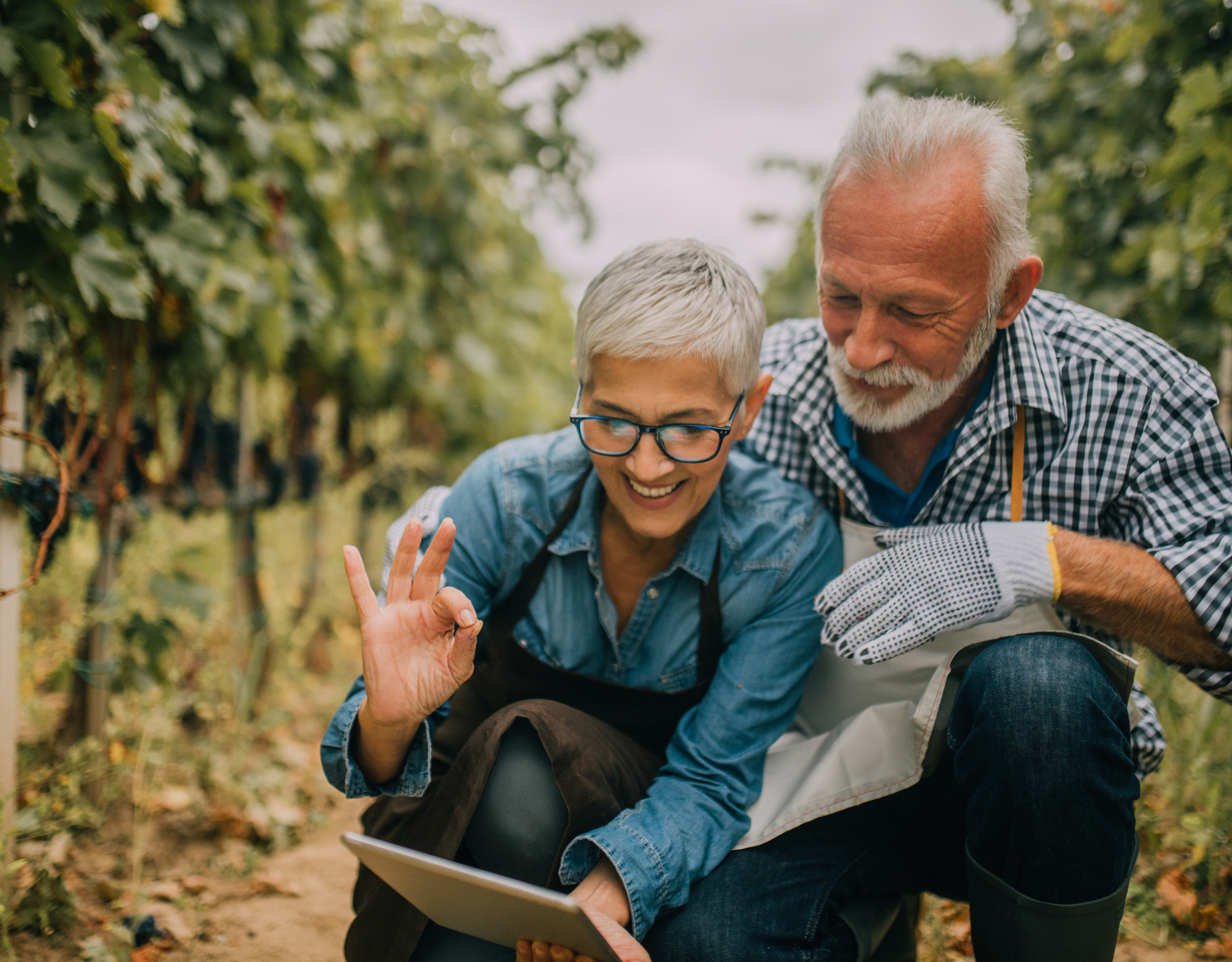 Why Landowners Choose to Sell for Cash: 3D Conservation Group