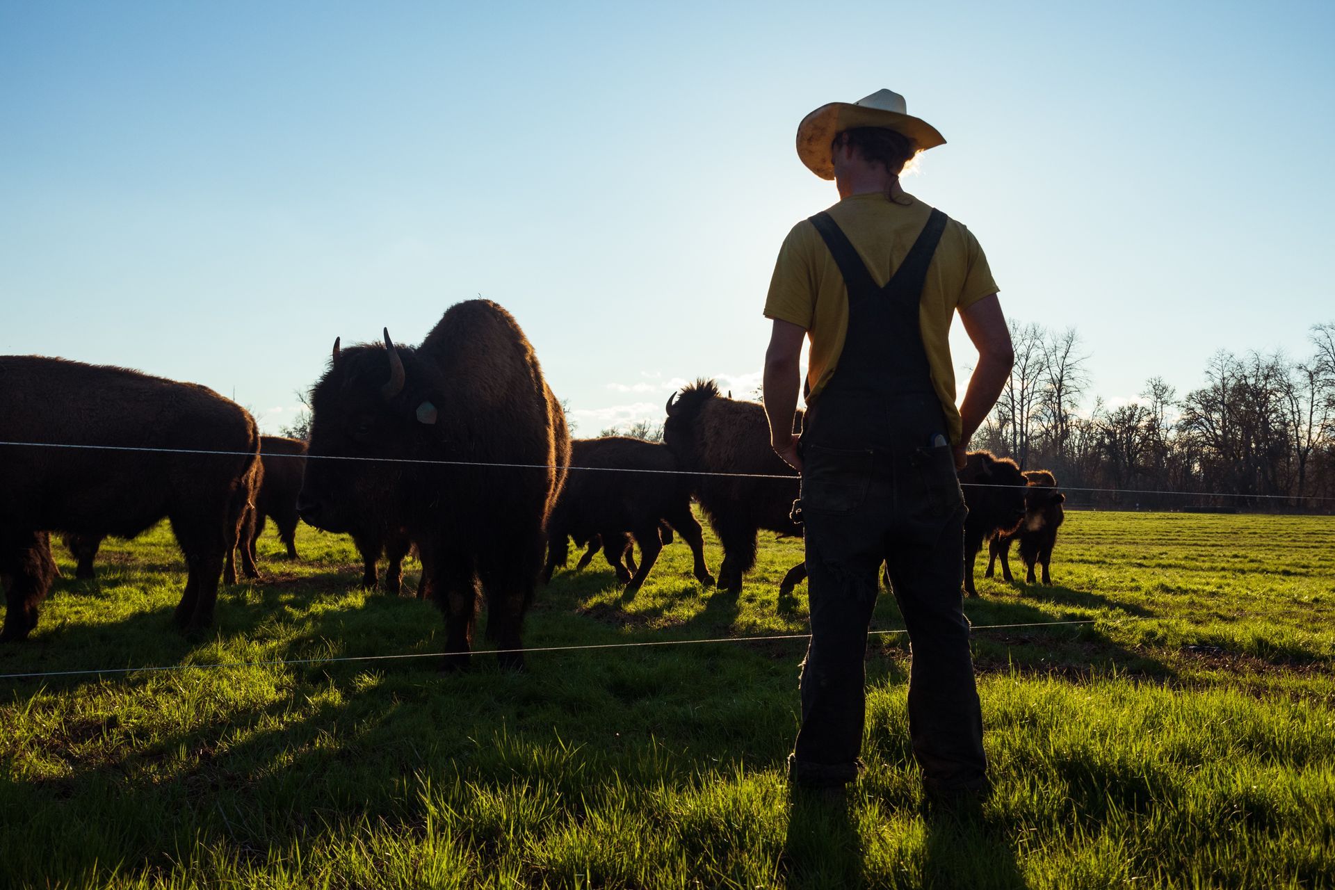 How Much is My Land Worth: The Market Value of Your Land