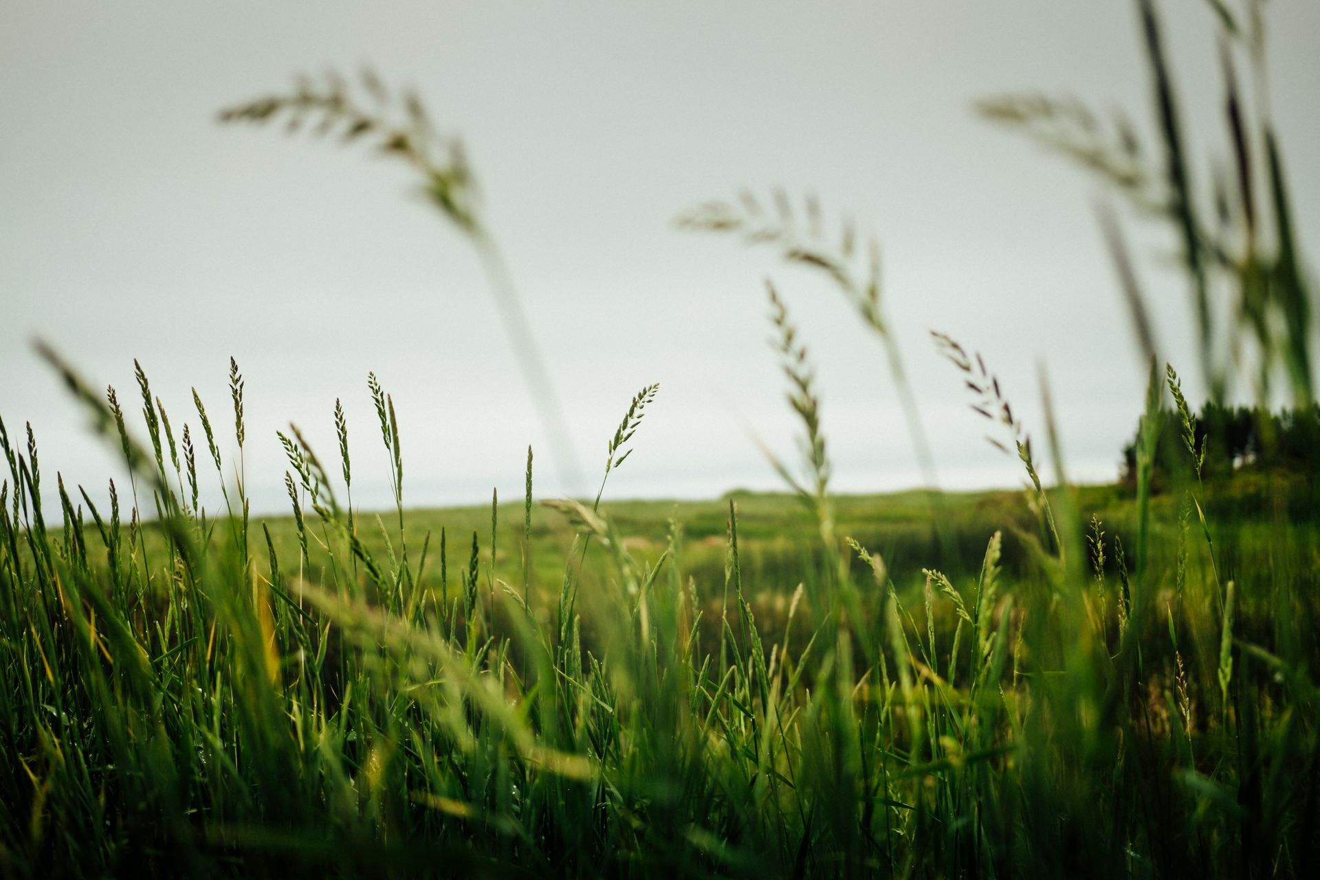 5 Reasons to Choose a Cash Offer for Your Land