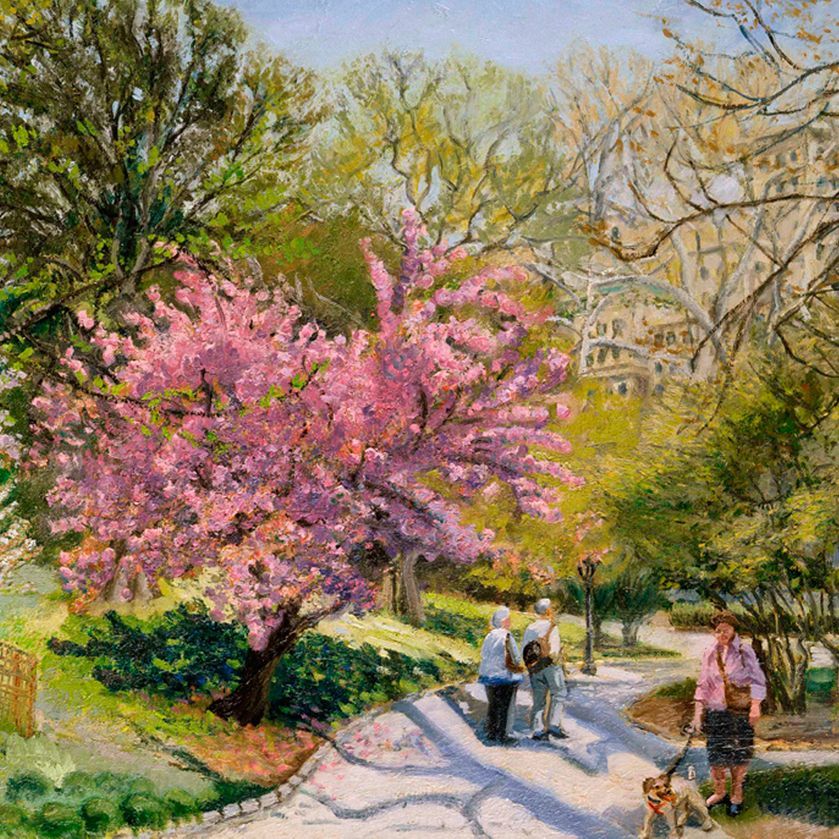 Cherry Blossom | Landscape Oil Painting by John Varriano