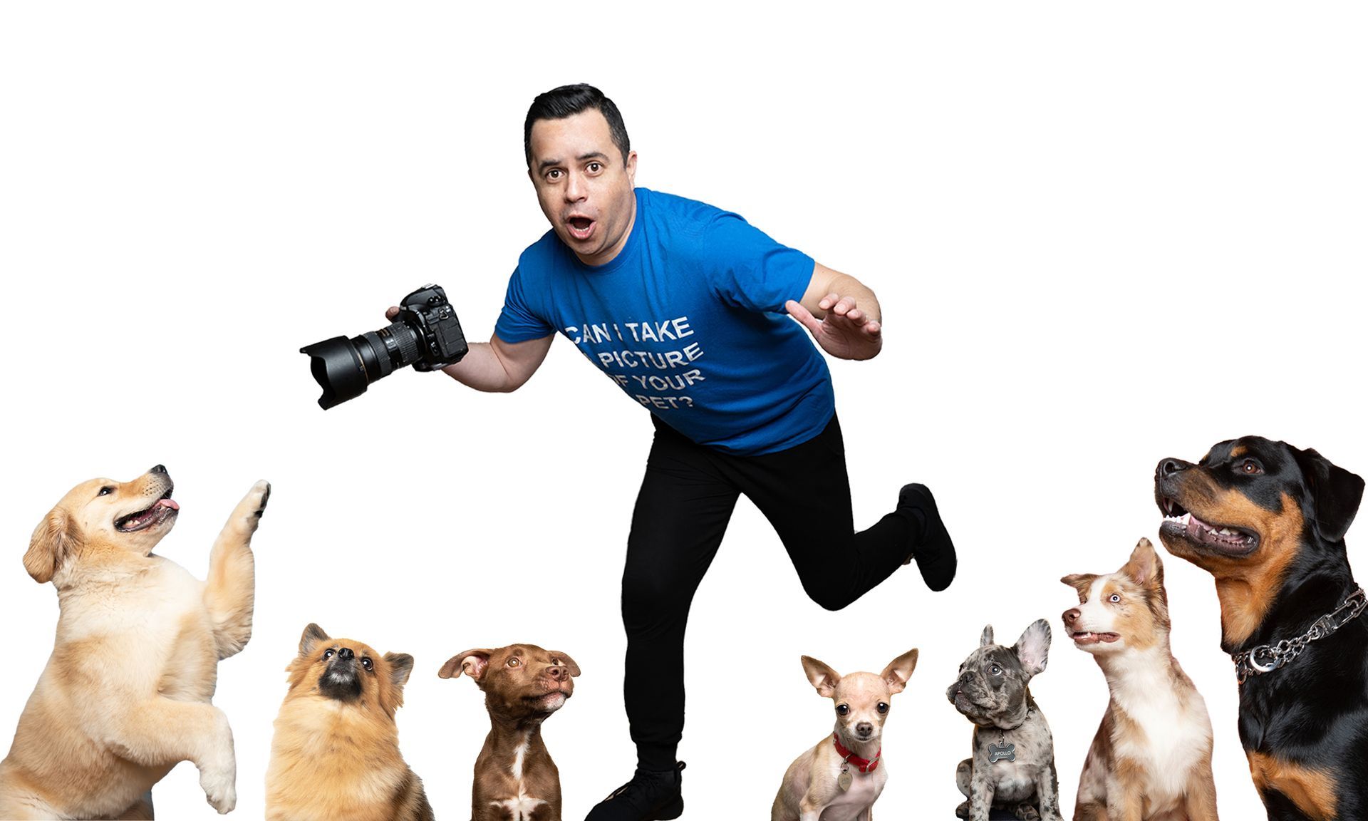 Carlos from DogExpression with his camera and a group of dogs