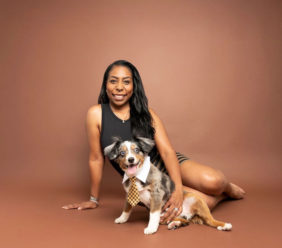Dog portrait in a mobile studio