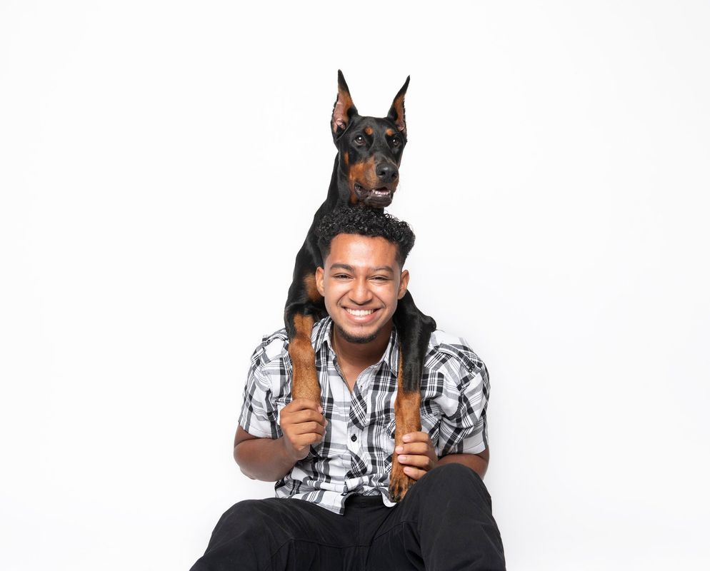 Expressive dog studio portrait
