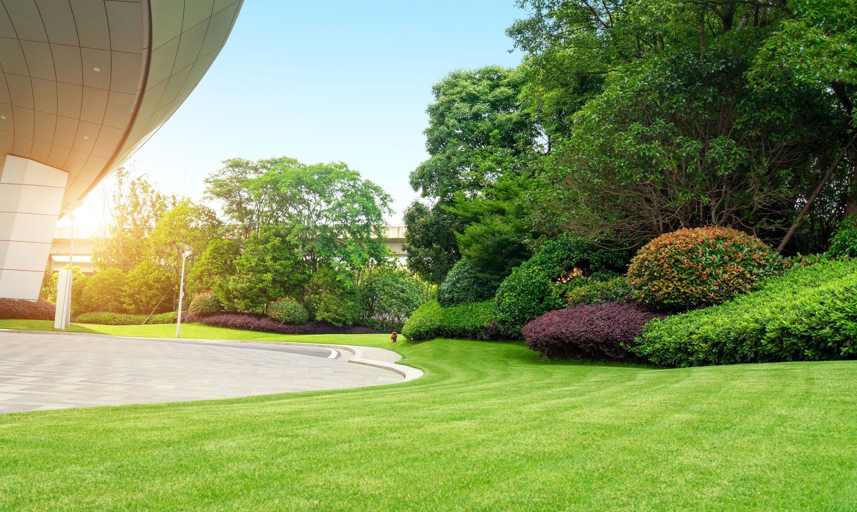 A lush green park with trees and bushes and a building in the background.