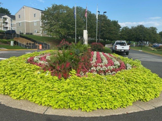 A white truck is parked in a roundabout surrounded by flowers