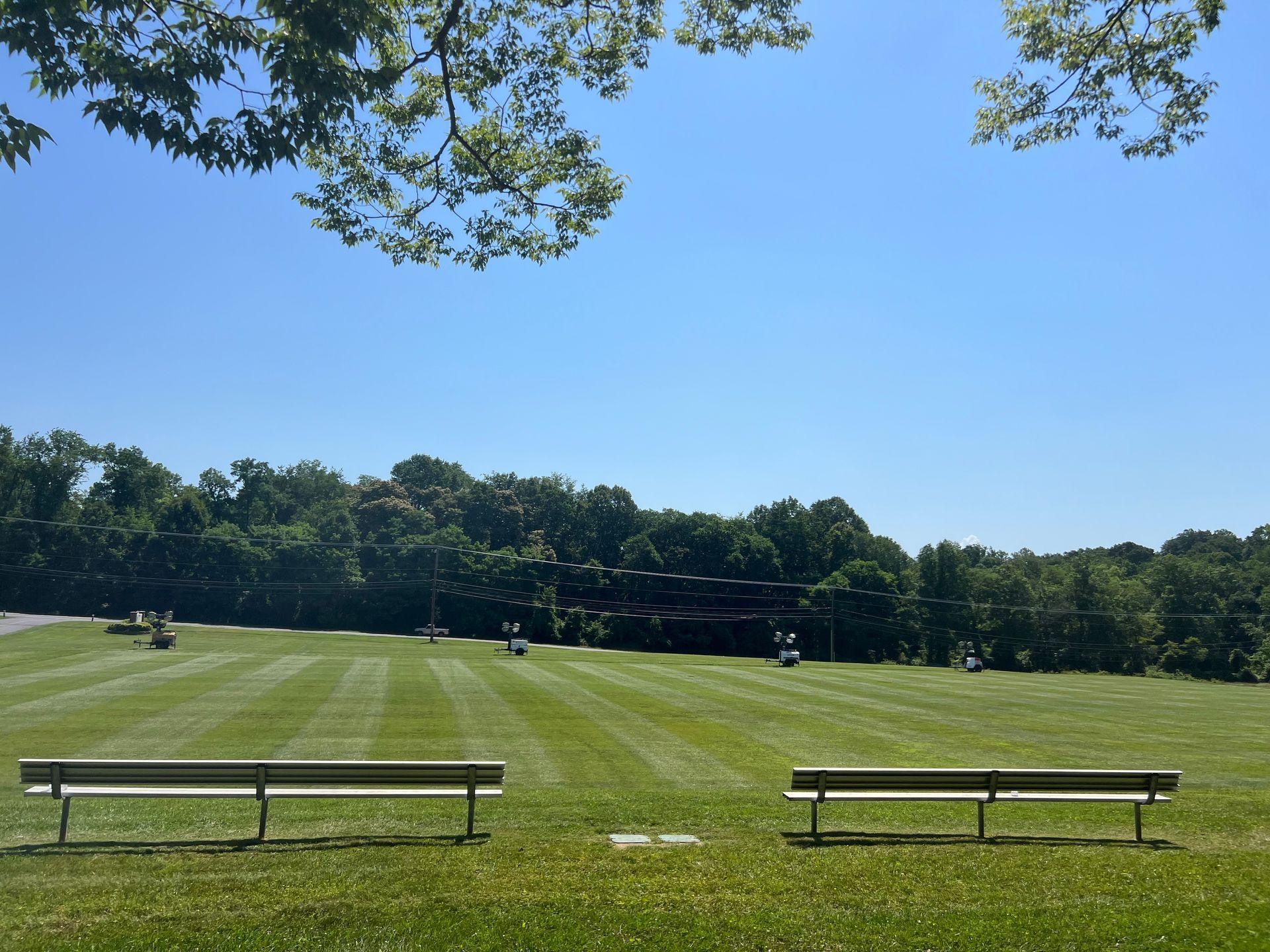 Two benches in a grassy field with trees in the background