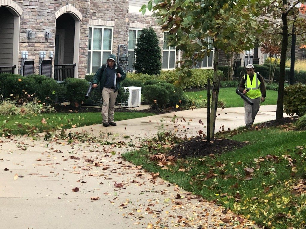 A man is blowing leaves from the sidewalk in front of a house.