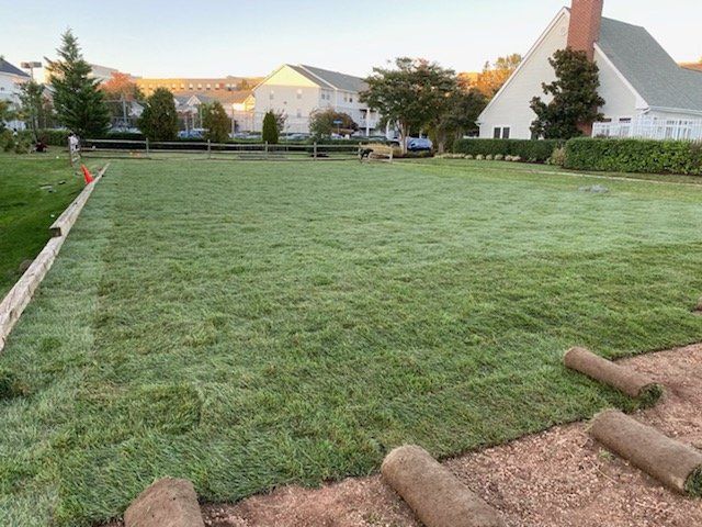 A large lawn with rolls of turf laying on the ground in front of a house.