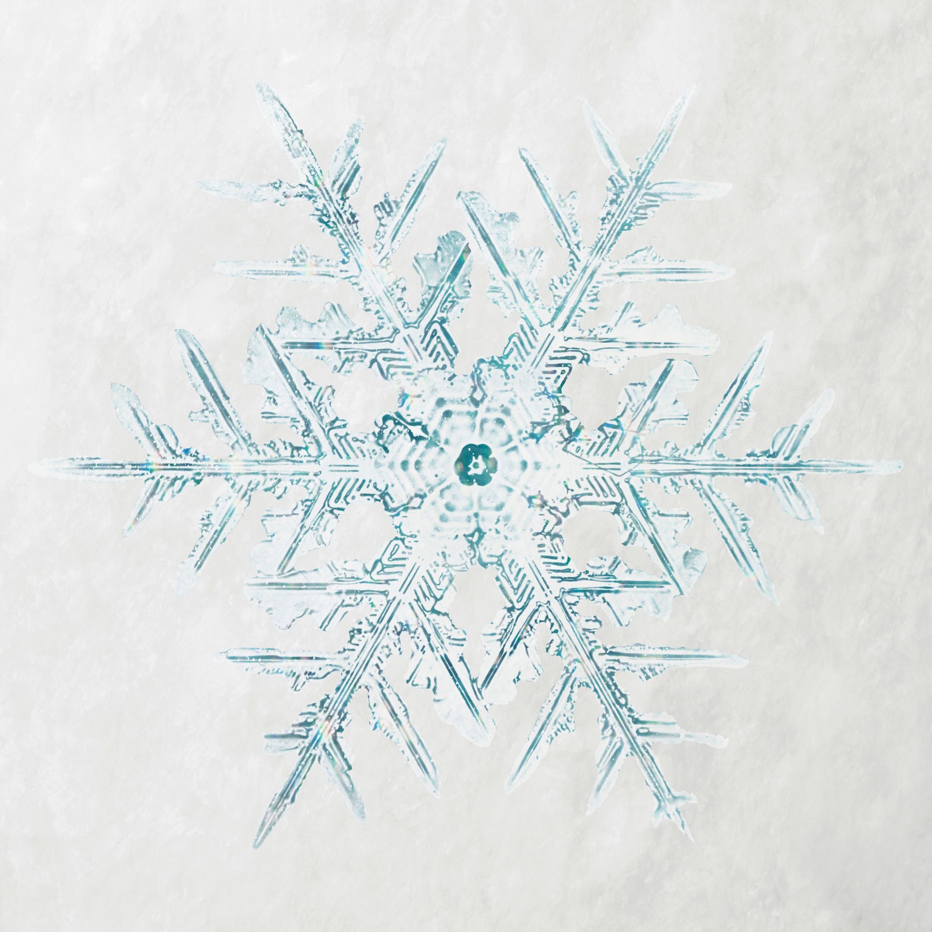 A close up of a snowflake on a white background