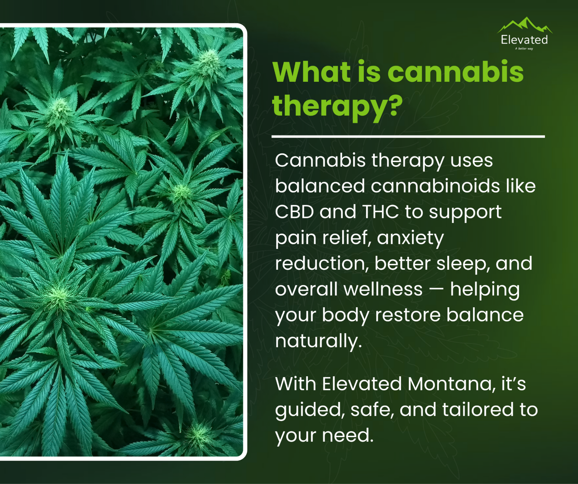 Cannabis Therapy in Montana | Elevated’s Guide