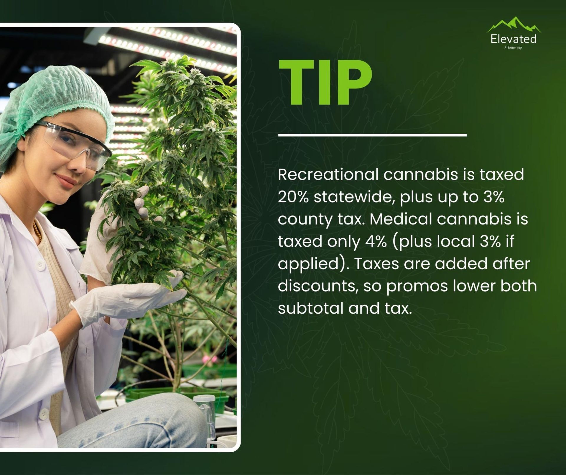 Woman in lab coat examines cannabis plant, text: cannabis taxes.