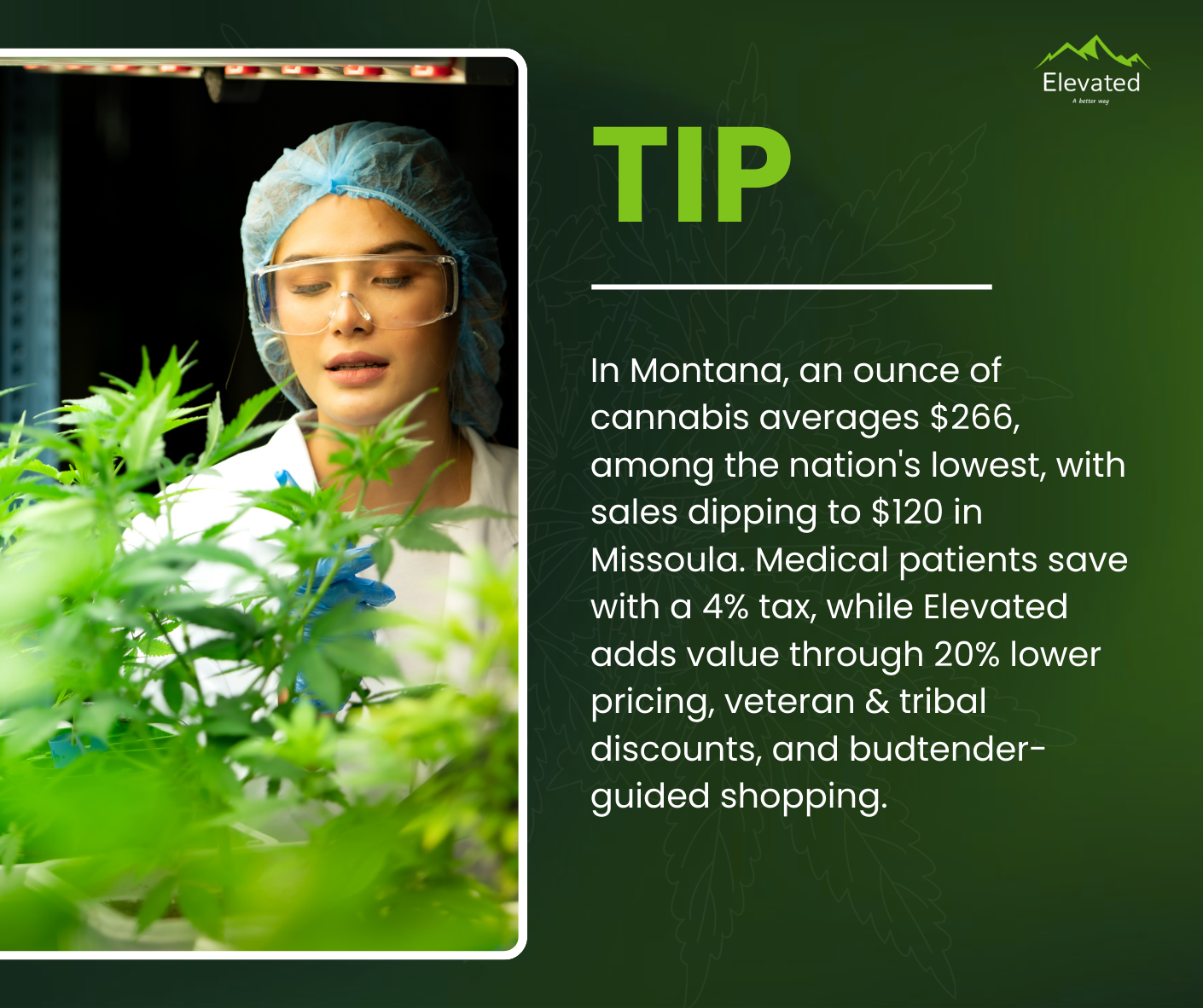 Woman in lab coat examining cannabis plants