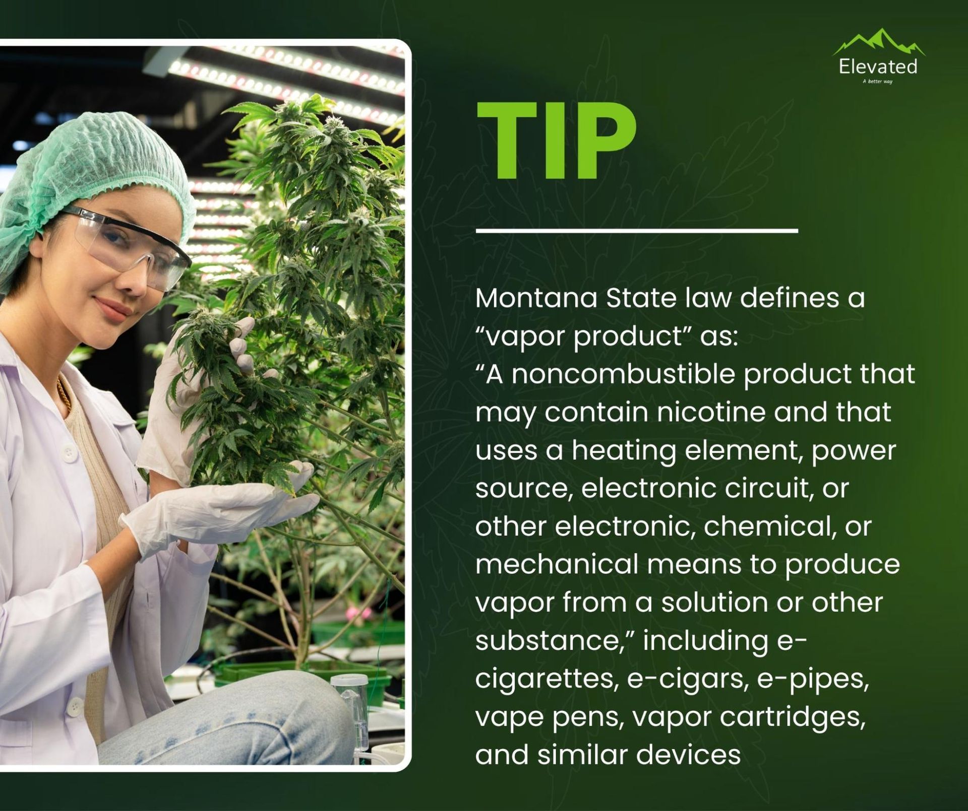 Woman in lab coat examining cannabis plant