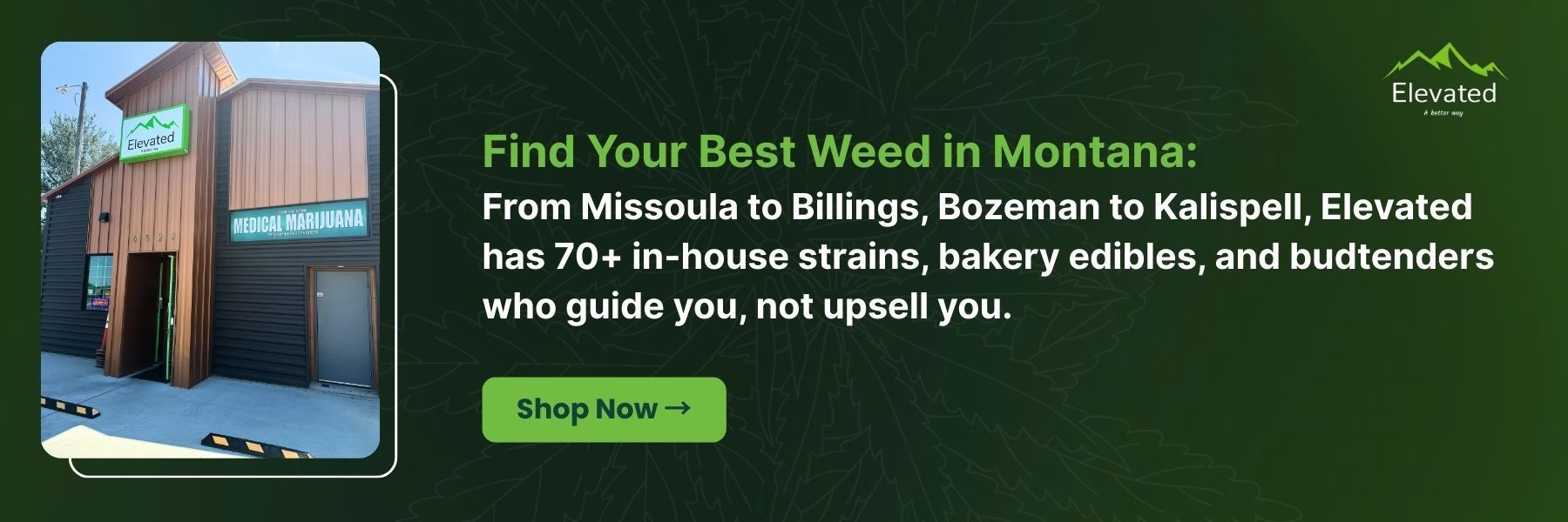 Advertisement for Elevated dispensary in Montana, with a building photo and text promoting their weed products.