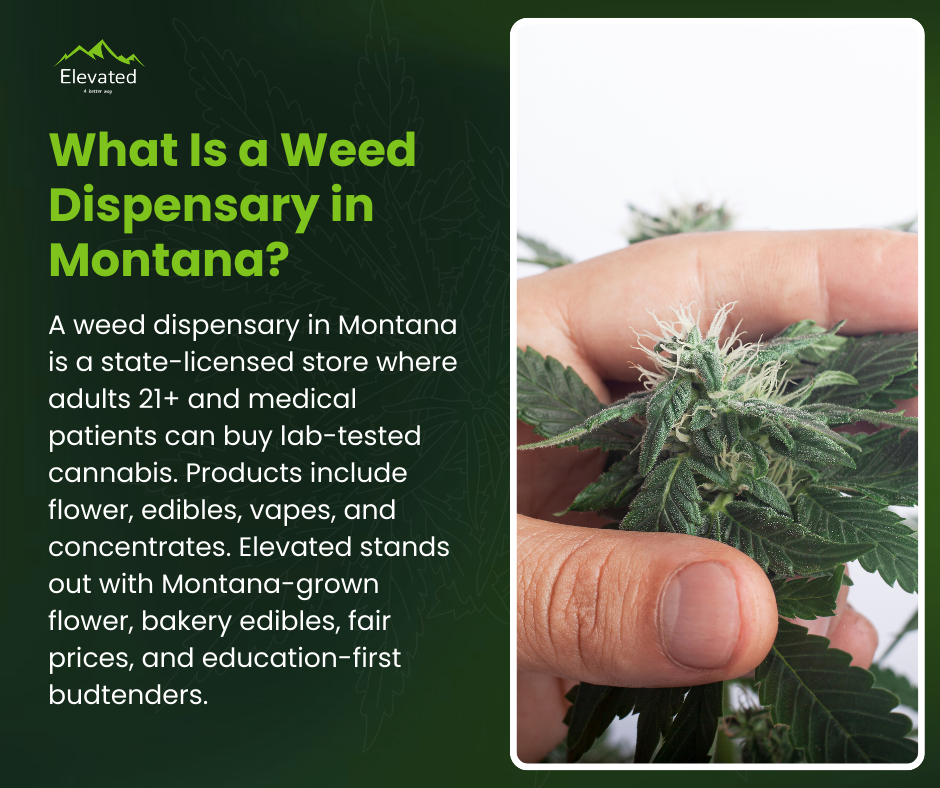 Green text on dark background: Explanation of Montana weed dispensaries with a hand holding cannabis.