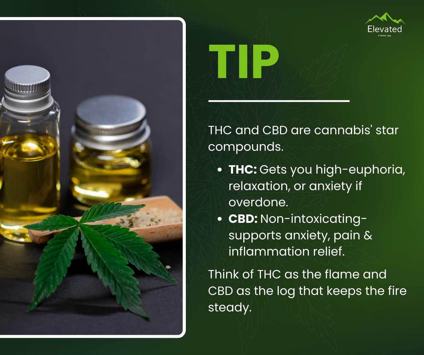 Image with cannabis leaf, oil bottles, and text describing THC and CBD effects: euphoria, anxiety, pain relief.