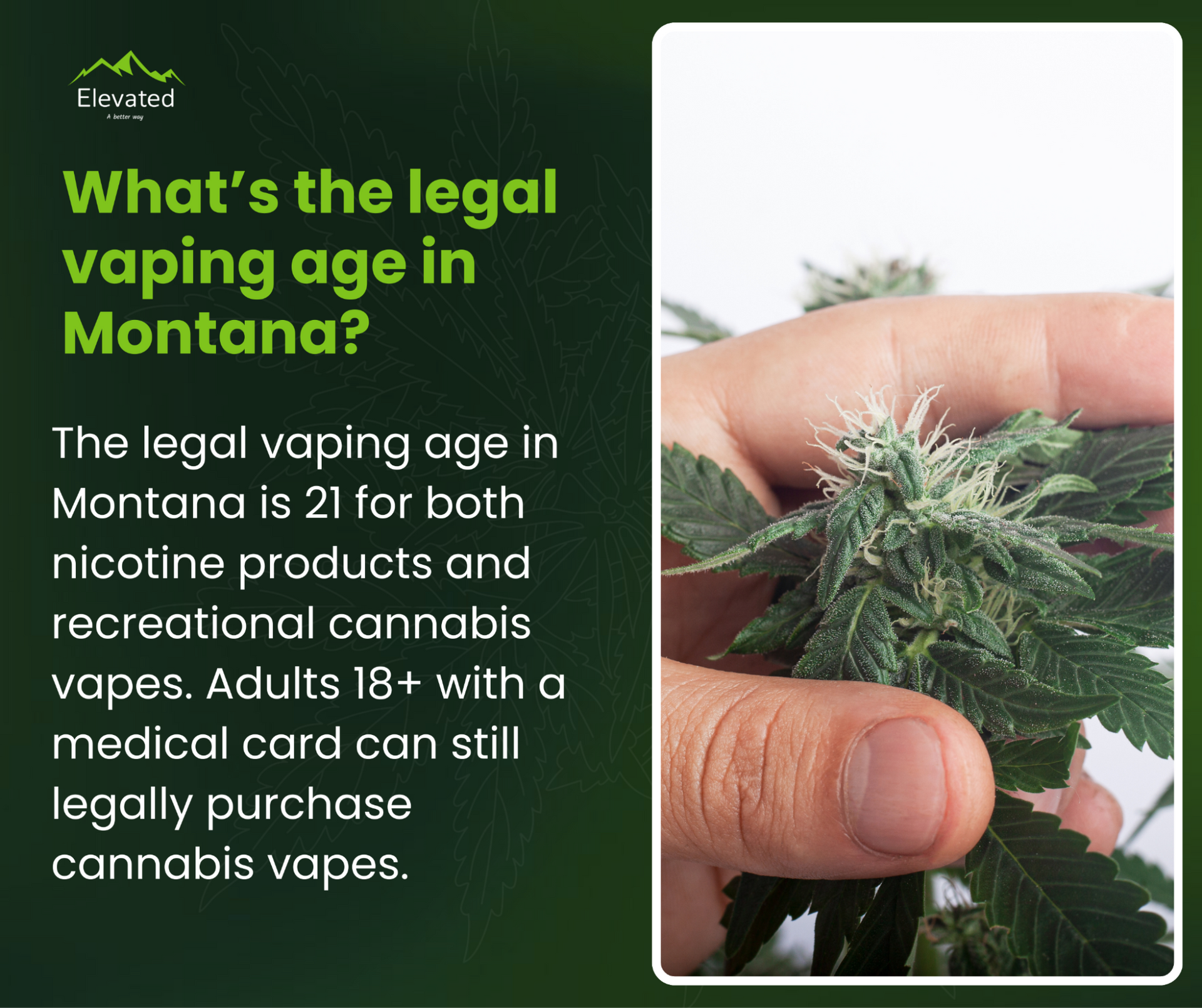 Text stating the legal vaping age in Montana is 21 for nicotine and recreational cannabis vapes