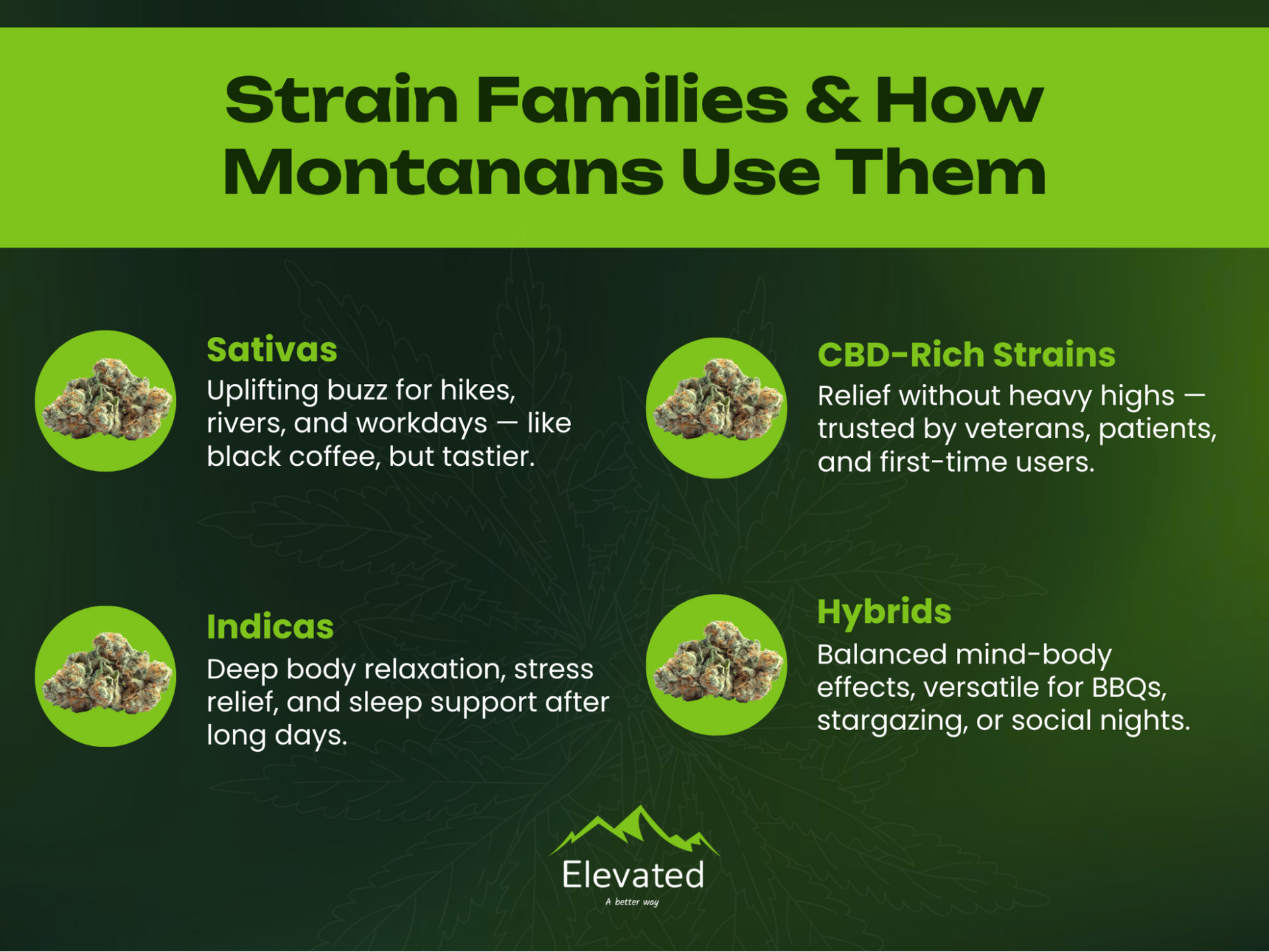 Infographic: Strain families, with uses: Sativas, Indicas, CBD-Rich, and Hybrids. Green background and text.