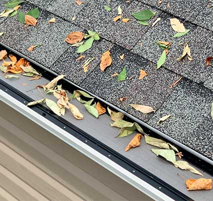 Leaves scattered on a gray shingled roof and in the gutter beside beige siding.