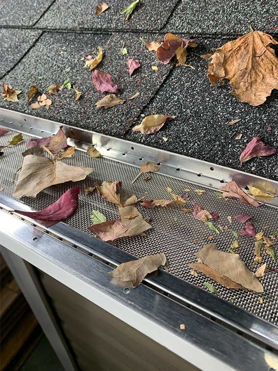 Leaves and debris caught in a roof gutter beside gray shingles and a window edge